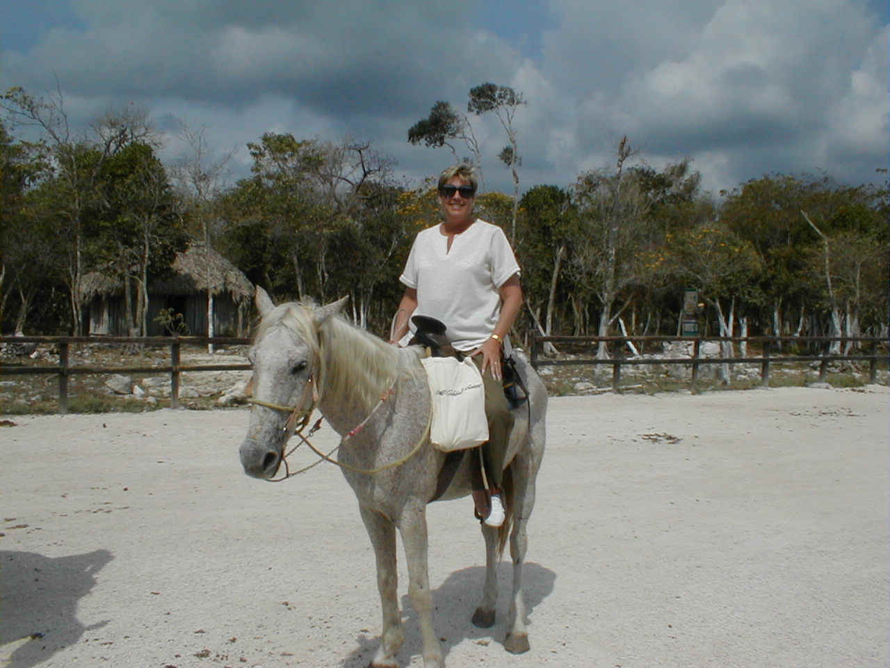 C&horse.jpg (199488 bytes)